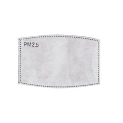 Cserelhető szűrő PM2.5
